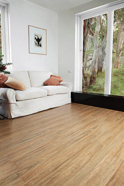 Flooring Xtra Spotted Gum Gloss Longboards2