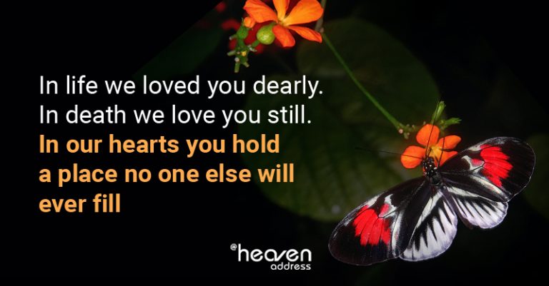 HeavenAddress 768x401