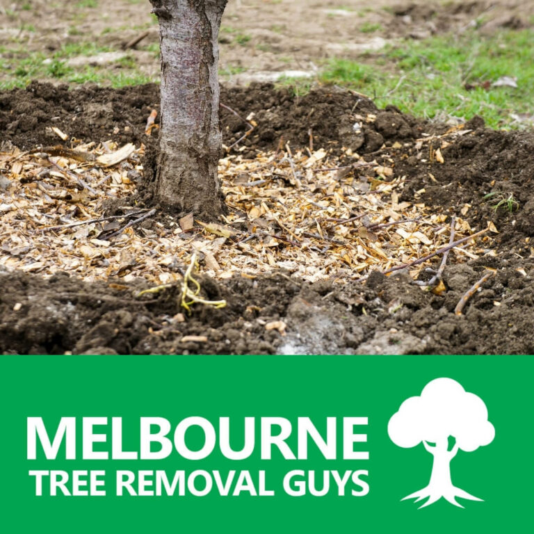 Mulches can also improve soil structure and fertility 768x768