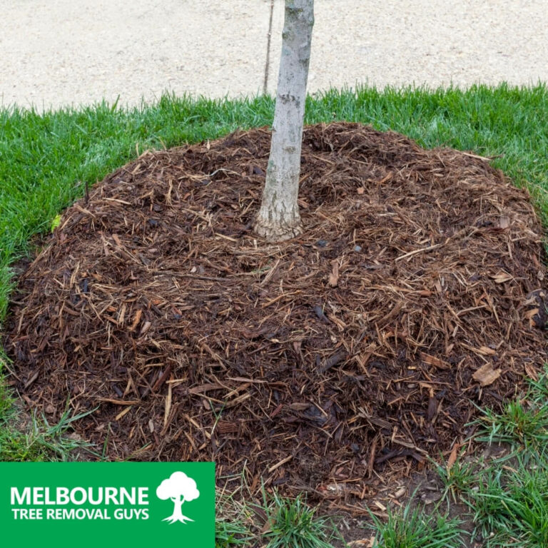 Mulching is an essential part of regulating the amount of moisture in your gardens soil 768x768