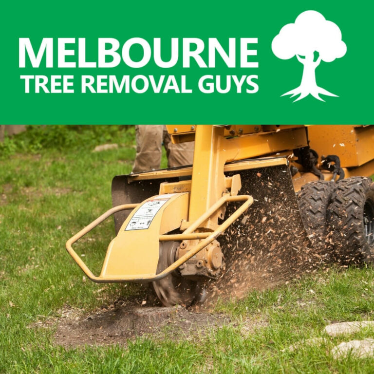 Stump Grinding is a service offered by our Melbourne based company 768x768