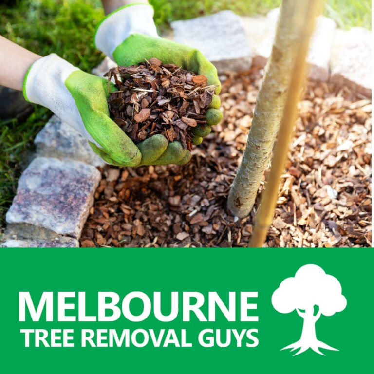 Tree Mulching Services Melbourne 768x768