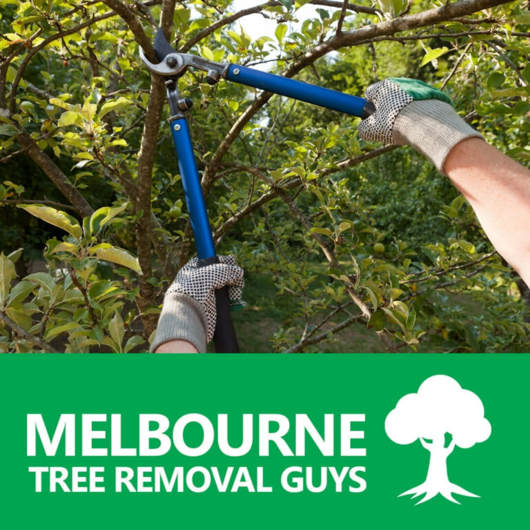 Tree Pruning Services Melbourne 768x768
