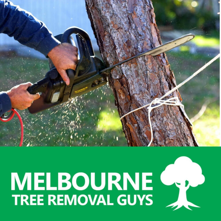 Tree Pruning Services Melbourne. 768x768