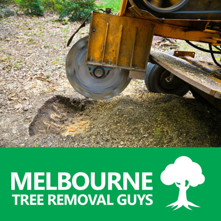 Tree Removal Melbourne highly qualified professionals in stump Removal and Grinding 768x768