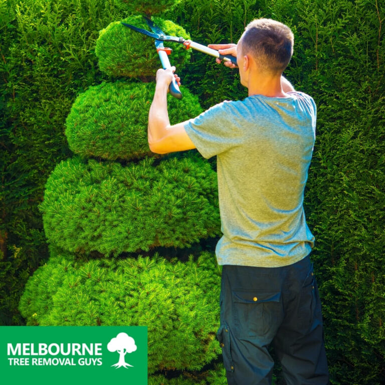 Tree Trimming Services Melbourne 768x768