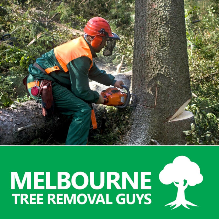 We do tree removal maintenance with over the years of experience 768x768