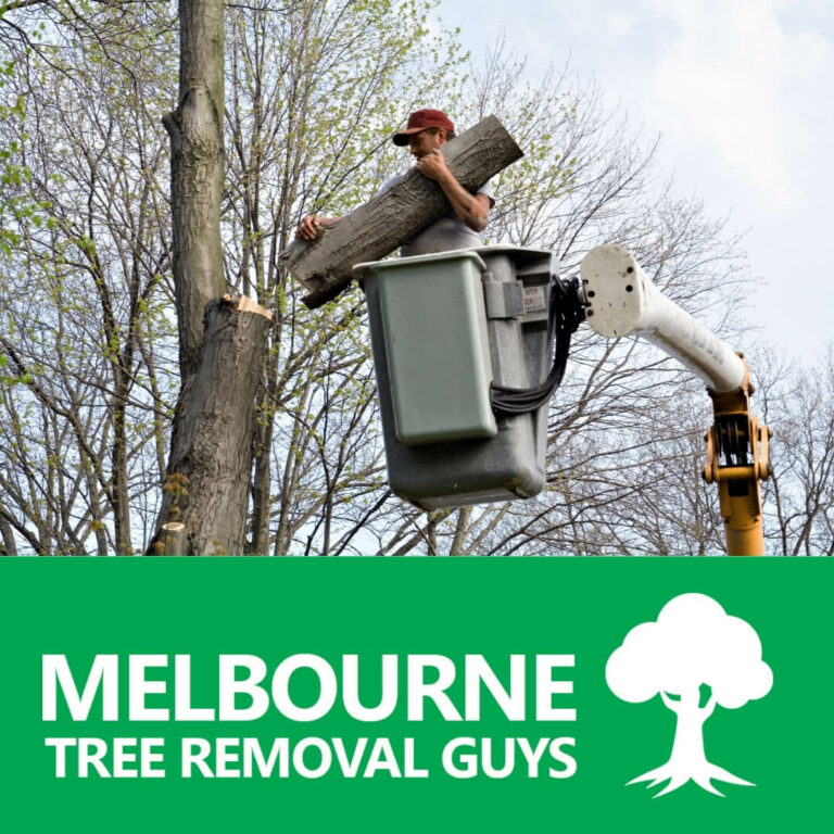 ever been wondering from where to hire a quality tree removal service 768x768