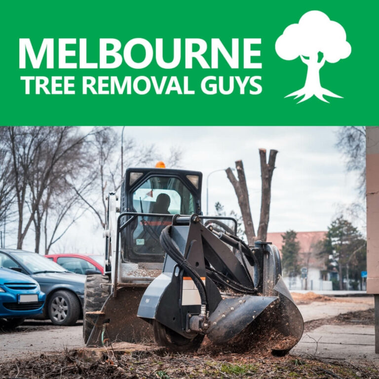 knowledgeable specialist for tree stump removal 768x768