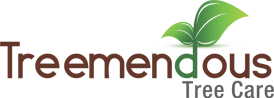 logo 1 2