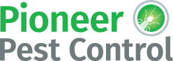 logo1 1