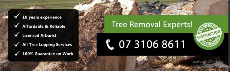 pro tree banner 768x240