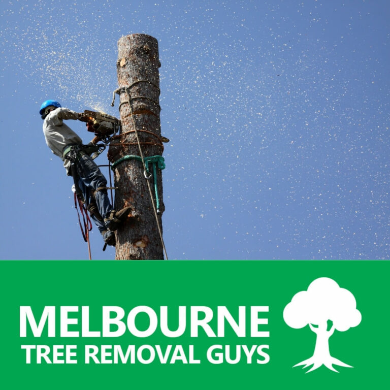 you will need to hire the services of a professional tree removal company like us 768x768