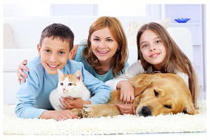 Carpet Cleaning Bunbury