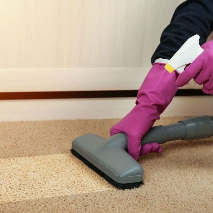 Carpet Pet Removal Perth