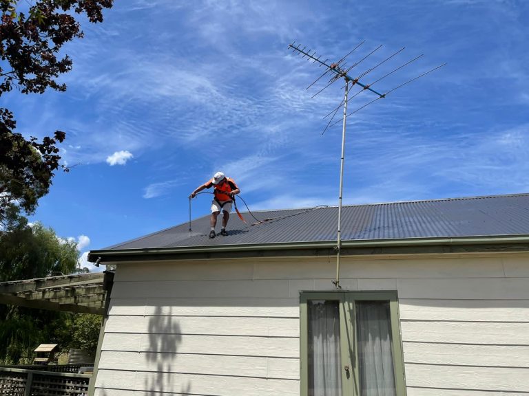 Close to a great roof painting job done 768x576