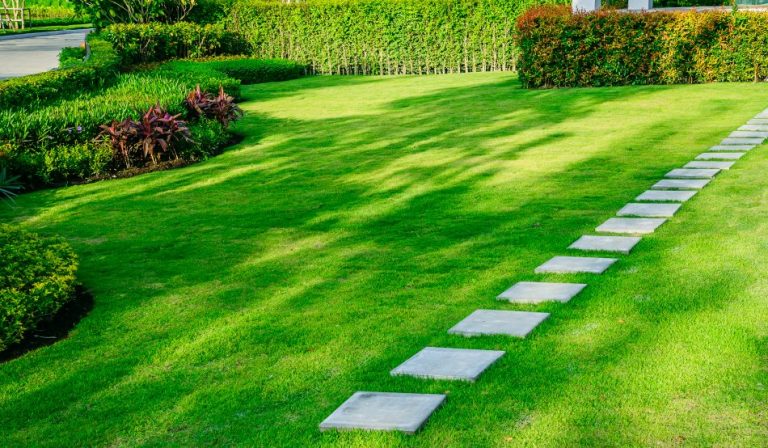 Lawn and Garden Mintenance Services 768x448