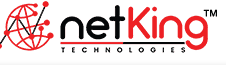 Netking logo