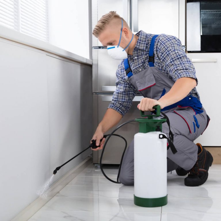 Pest Control in Melbourne 1 768x768