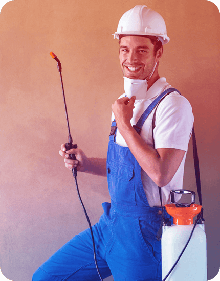 Pestico Pest Control WhyChoosUs