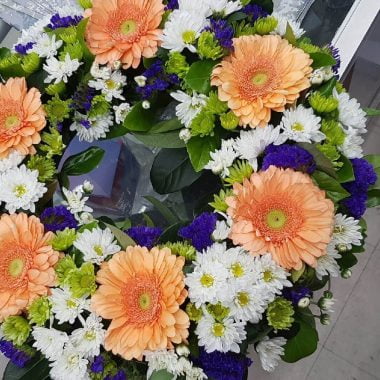 SYMPATHY Sweet Peach S 99.95 M 149.95 L 199.95 XL 249.95 380x380 1