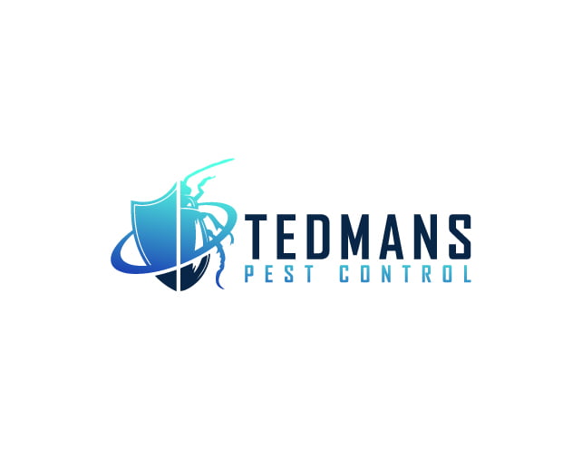 Tedmans 02