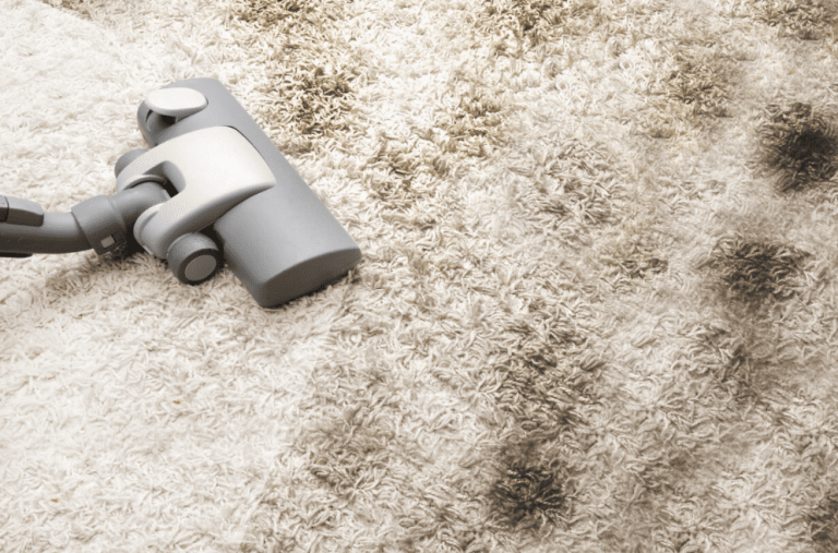 carpet hot water 768x507