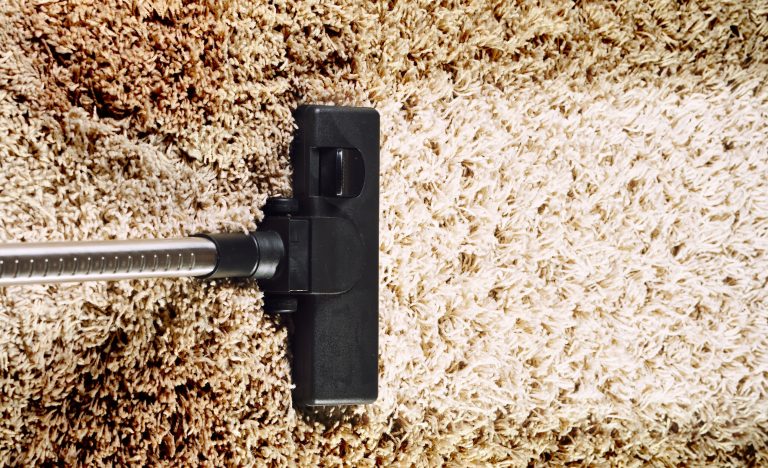 carpet mould removal 768x468