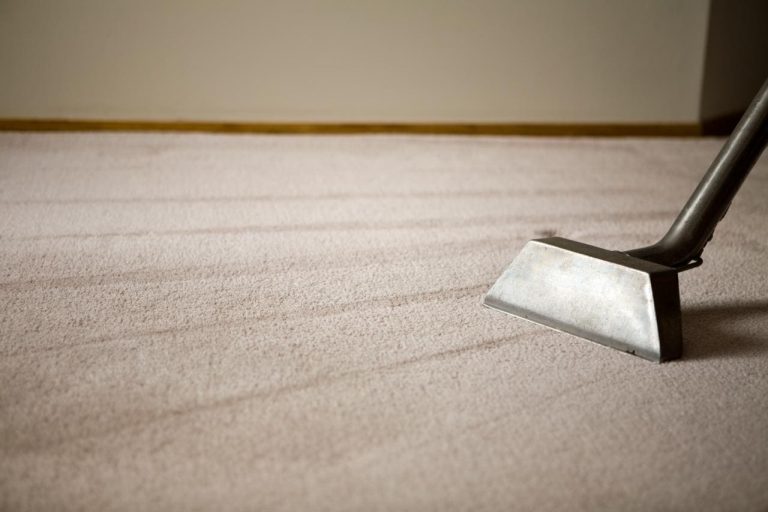 carpet steam cleaning 768x512