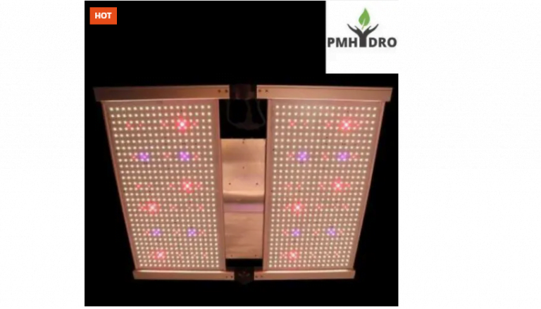 led 768x439