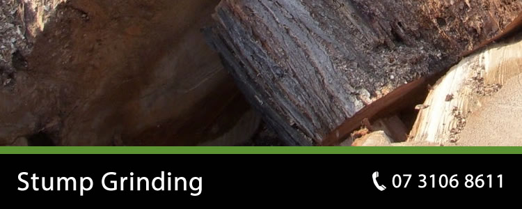 stump grinding brisbane