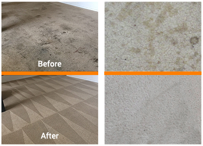 Best Carpet Cleaning