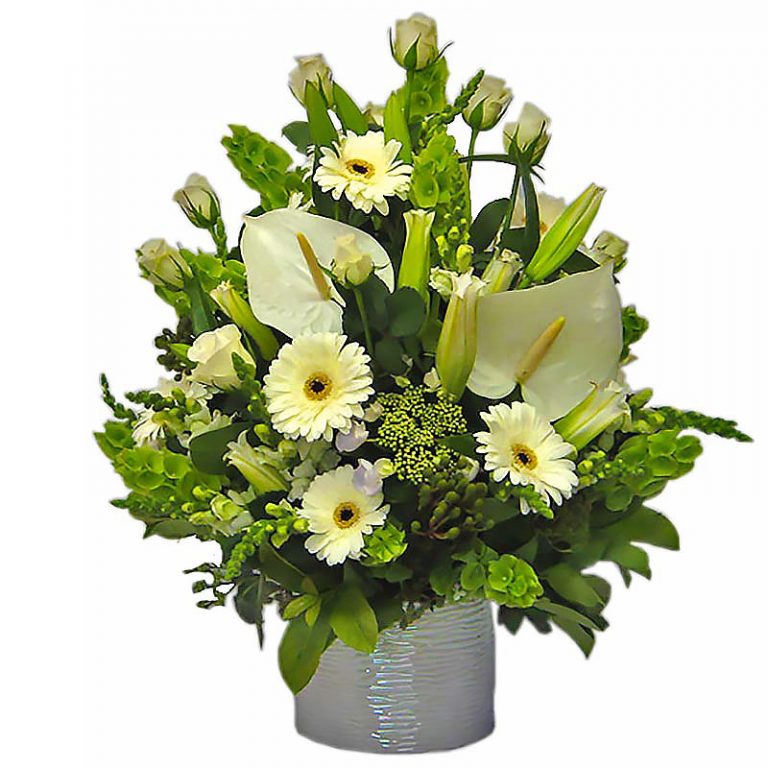 Creative Purity with Pot 800x800 800x800 1 768x768