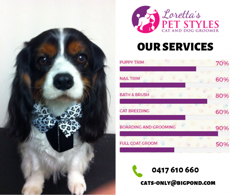 Loretta Pet Style 768x644