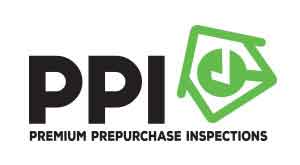 PPI Logo 300x165 1