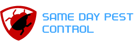 SAME DAY PEST CONTROL 5
