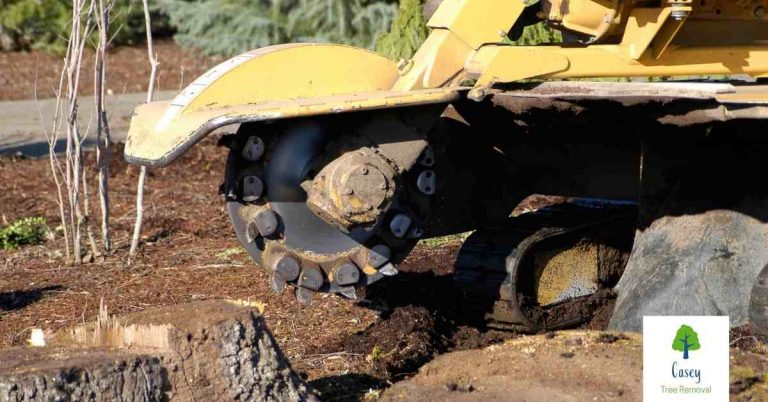 The Benefits of Stump Grinding 768x402