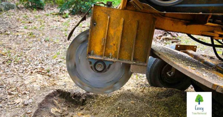 What Is Stump Grinding 768x402