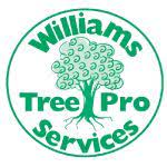 logo 9