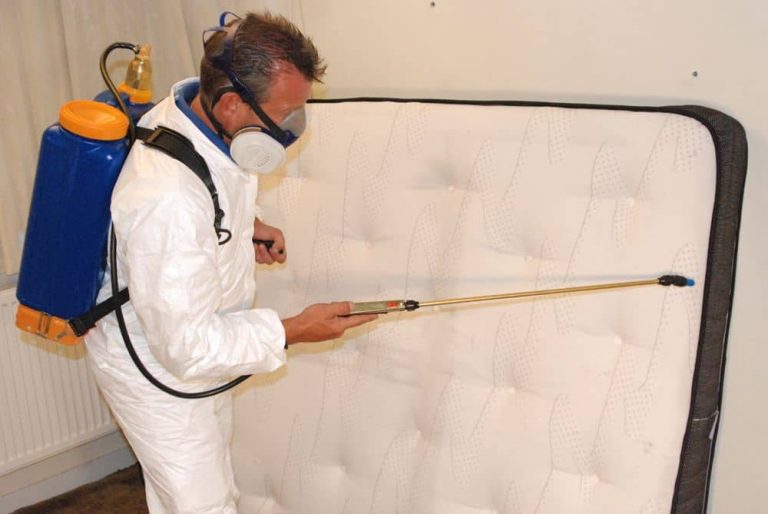 pest control 9 768x514