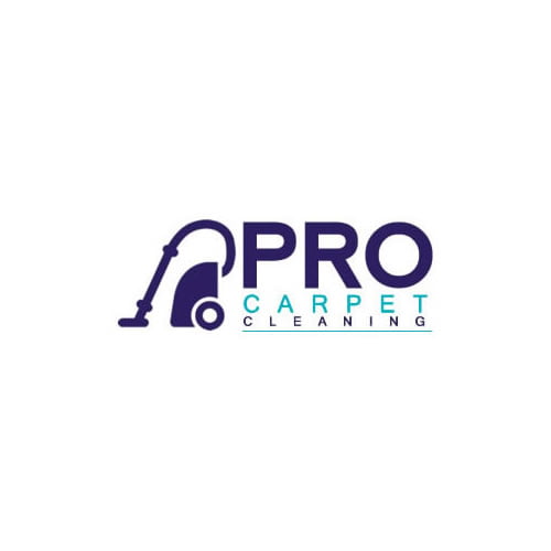 pro carpet cleaning sydney