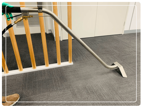959a177fbf4930d35e35d1b6135df322.Same Day Carpet Cleaning Services