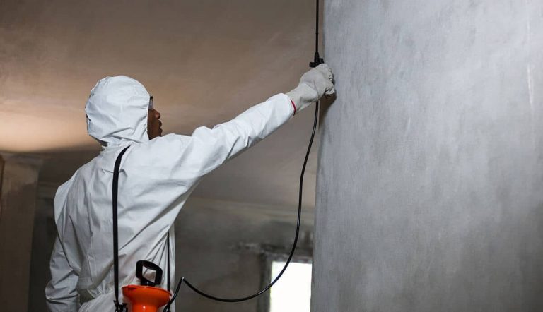 Based on our findings we will create a custom pest control treatment plan that best suits your requirement and budget. 768x442