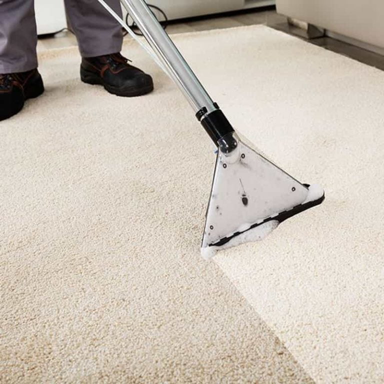 Carpet Cleaning 5 768x768