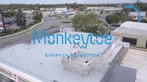 MonkeyToe