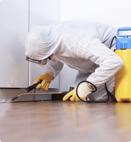 Pestly Pest Control Melbourne