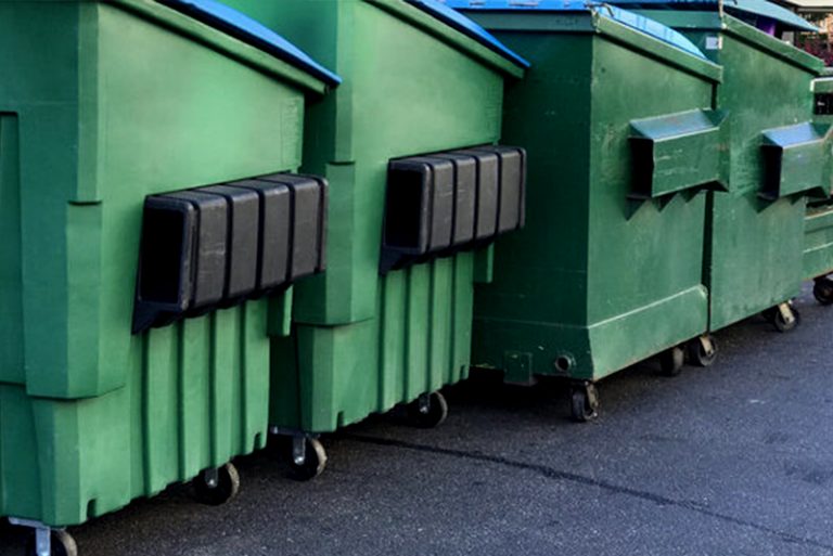 Pro Skip Bins Brisbane Edited Images Complete Guide to Skip Bins Sizes1 768x513