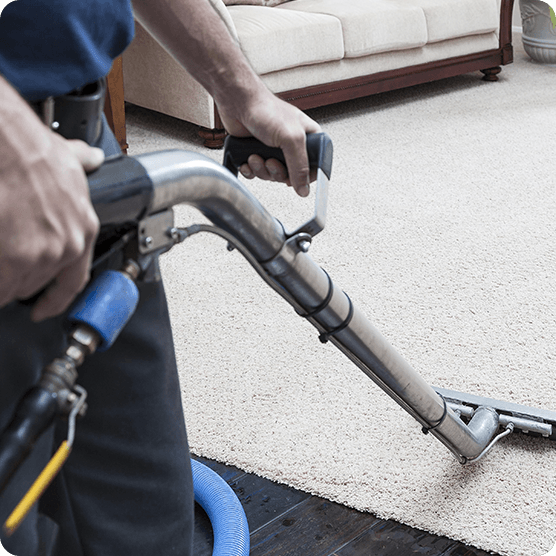 Professional Rug Cleaning Services 1