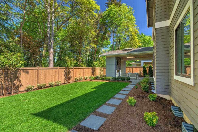 beautiful lawn backyard 768x512