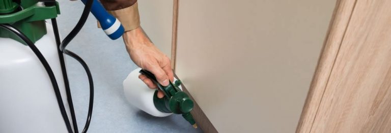 building and pest inspections brisbane slider 768x262